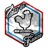 Logo of the association Zines de France